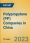 Polypropylene (PP) Companies in China - Product Image