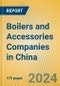 Boilers and Accessories Companies in China - Product Thumbnail Image