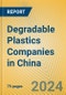 Degradable Plastics Companies in China - Product Thumbnail Image