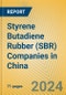 Styrene Butadiene Rubber (SBR) Companies in China - Product Thumbnail Image