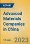 Advanced Materials Companies in China - Product Image