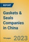 Gaskets & Seals Companies in China - Product Image