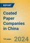 Coated Paper Companies in China - Product Image