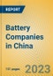 Battery Companies in China - Product Thumbnail Image