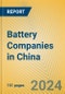 Battery Companies in China - Product Thumbnail Image