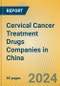 Cervical Cancer Treatment Drugs Companies in China - Product Image