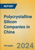 Polycrystalline Silicon Companies in China- Product Image