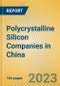 Polycrystalline Silicon Companies in China - Product Image