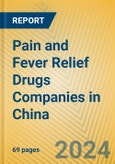 Pain and Fever Relief Drugs Companies in China- Product Image