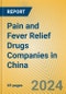 Pain and Fever Relief Drugs Companies in China - Product Image