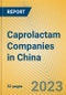 Caprolactam Companies in China - Product Thumbnail Image