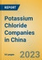 Potassium Chloride Companies in China - Product Image
