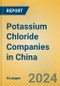 Potassium Chloride Companies in China - Product Thumbnail Image