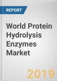 World Protein Hydrolysis Enzymes Market - Opportunities and Forecasts, 2017 - 2023- Product Image