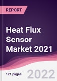Heat Flux Sensor Market 2021- Product Image