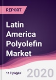 Latin America Polyolefin Market - Forecast (2020 - 2025)- Product Image