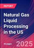 Natural Gas Liquid Processing in the US - Industry Market Research Report- Product Image