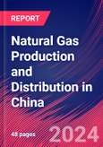 Natural Gas Production and Distribution in China - Industry Market Research Report- Product Image