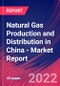Natural Gas Production and Distribution in China - Industry Market Research Report - Product Thumbnail Image