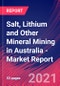 Salt, Lithium and Other Mineral Mining in Australia - Industry Market Research Report - Product Thumbnail Image