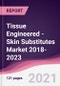 Tissue Engineered - Skin Substitutes Market 2018-2023 - Product Image