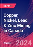 Copper, Nickel, Lead & Zinc Mining in Canada - Industry Market Research Report- Product Image