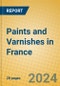 Paints and Varnishes in France - Product Thumbnail Image