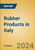 Rubber Products in Italy- Product Image