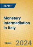 Monetary Intermediation in Italy- Product Image