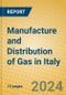 Manufacture and Distribution of Gas in Italy - Product Image