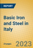 Basic Iron and Steel in Italy- Product Image