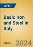 Basic Iron and Steel in Italy- Product Image