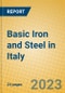 Basic Iron and Steel in Italy - Product Thumbnail Image