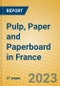 Pulp, Paper and Paperboard in France - Product Image