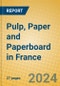 Pulp, Paper and Paperboard in France - Product Image