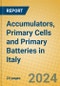 Accumulators, Primary Cells and Primary Batteries in Italy - Product Thumbnail Image