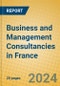 Business and Management Consultancies in France - Product Image