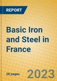 Basic Iron and Steel in France- Product Image