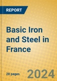 Basic Iron and Steel in France- Product Image