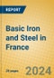 Basic Iron and Steel in France - Product Thumbnail Image