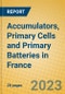 Accumulators, Primary Cells and Primary Batteries in France - Product Image