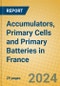 Accumulators, Primary Cells and Primary Batteries in France - Product Thumbnail Image