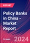 Policy Banks in China - Industry Market Research Report - Product Thumbnail Image