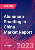 Aluminum Smelting in China - Industry Market Research Report- Product Image