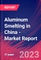 Aluminum Smelting in China - Industry Market Research Report - Product Thumbnail Image