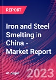 Iron and Steel Smelting in China - Industry Market Research Report- Product Image