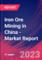 Iron Ore Mining in China - Industry Market Research Report - Product Image