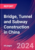 Bridge, Tunnel and Subway Construction in China - Industry Market Research Report- Product Image