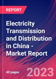 Electricity Transmission and Distribution in China - Industry Market Research Report- Product Image