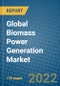 Global Biomass Power Generation Market Research and Forecasts 2022-2028 - Product Image